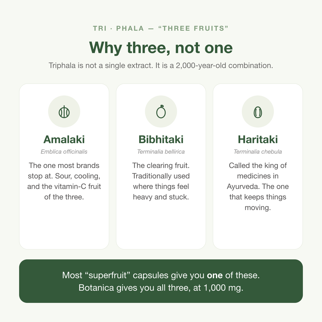 Botanica® Triphala — The Three Fruits of Ayurveda